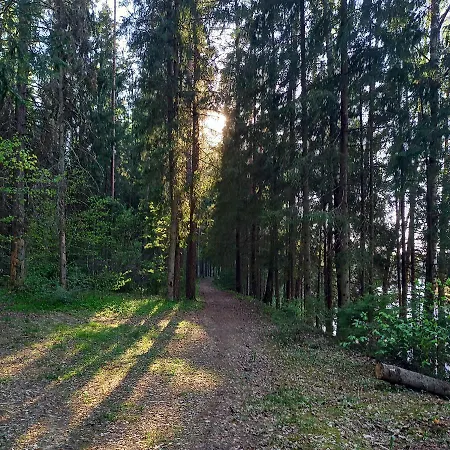 Ozolu Gatve 2- No Cesim 7 Km